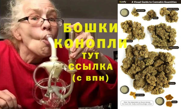 PSILOCYBIN Бородино